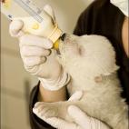 5c8aaa902500000704c969da