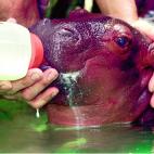 5c8aaa9120000043046f83fd