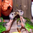 5c8aaa912400006d054c3816