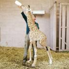 5c8aaa9325000052068183aa