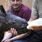 5c8aaa933b000054066c5732