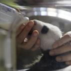 5c8aaa94240000f404a37411