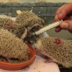 5c8aaa952000009d036f8405