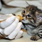 5c8aaa96360000e01c6bd62e