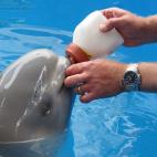 5c8aaa9624000093024c3820