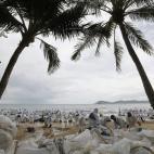 5c8b688a240000f404a4a426