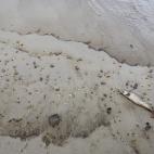 5c8b688b360000ba1a6d0250