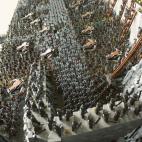 5c8b34983b000070066d387a