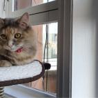 5c8a4547260000f903fe20ec