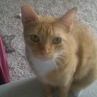 5c8a454820000045046eefcc