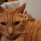 5c8a4548260000e104fe20f0