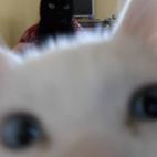 5c8a45482400006b054ba3e1