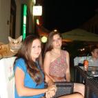 5c8a454a230000040122e1a7