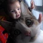 5c8a454b2000009e046eefd6