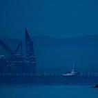 5c8a58ad2500000d04c8eed4