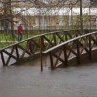 5c8b6fe5230000d50424ba7a