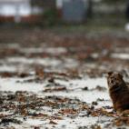 5c8b6fe62400004205a4b672