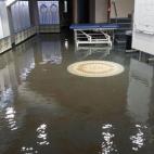 5c8b6feb3b000072066d953d