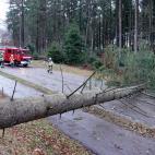 Árbol cortando una carretera en Baden-Wuerttemberg