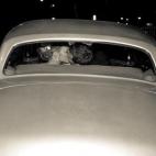 5c8b69d42400000a05a4a729