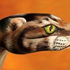 5c8a8f052400006f054bffe9