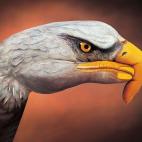 5c8a8f0624000093024bffeb