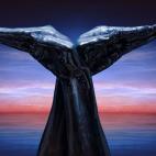 5c8a8f063b000054066c1ee2