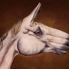 5c8a8f062500001304c93054