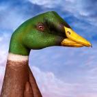 5c8a8f072300000401233fc0