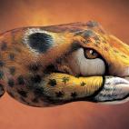 5c8a8f0824000093024bfff1