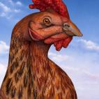 5c8a8f083b000037066c1ee6