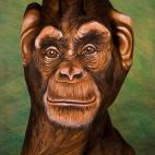 5c8a8f082500000a06814a0f