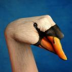 5c8a8f092000009d036f4c89