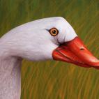 5c8a8f092500000704c93057