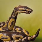 5c8a8f092300003000e6b6d2