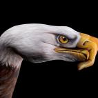 5c8a8f0a2500000d04c93059