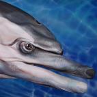 5c8a8f0b2400004205a33a4d