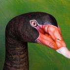 5c8a8f0b2300005300e6b6d4