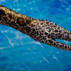 5c8a8f0c2400006b054bfff7