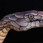 5c8a8f0c2500005206814a18