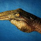 5c8a8f0d240000f404a33a4f