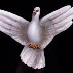 5c8a8f0d230000d504233fc4