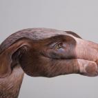 5c8a8f0d3b000070066c1ef2