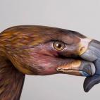 5c8a8f0e250000e203c93063