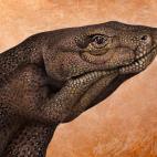 5c8a8f0f360000ba1a6b9ee8