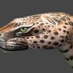 5c8a8f0f2500000a06814a20