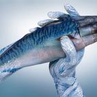 5c8a8f102300000401233fca