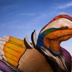 5c8a8f102400004205a33a56