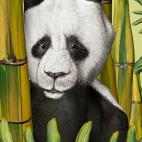 5c8a8f102500001304c93069