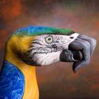 5c8a8f113b000054066c1efa